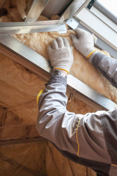 Best Cellulose Insulation in Monona, WI