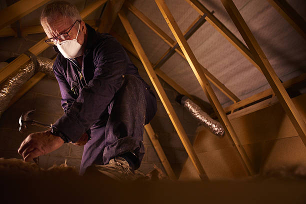 Best Specialized Insulation Services in Monona, WI